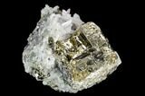 Pyrite Crystal Cluster with Quartz - Peru #126571-1